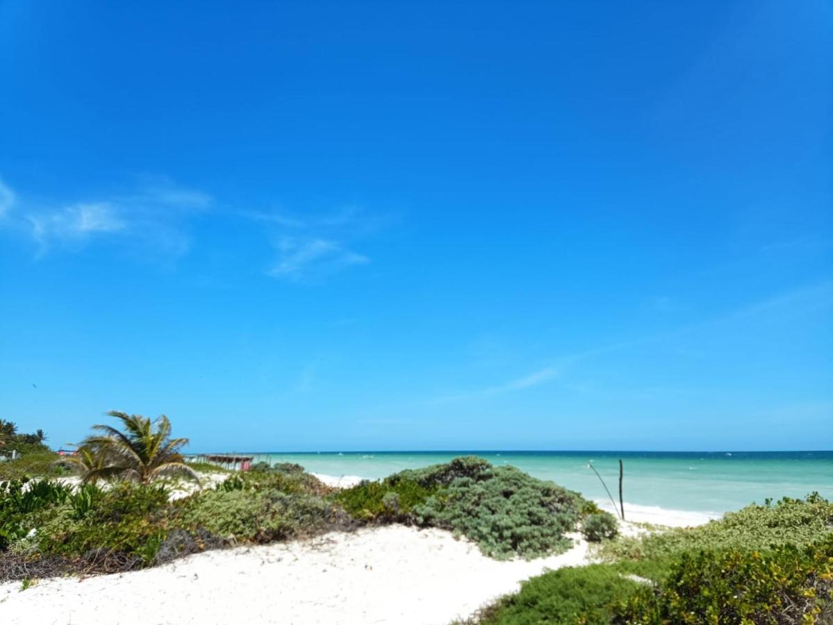Sisal Brisa De Mar Lägenhet Exteriör bild